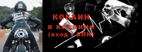 индика Нязепетровск
