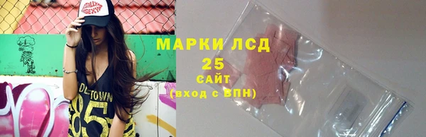 индика Нязепетровск
