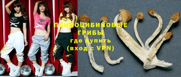индика Нязепетровск