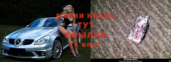 индика Нязепетровск