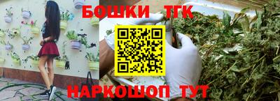 индика Дубна