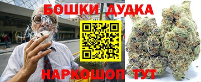 индика Дубна