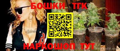 индика Дубна