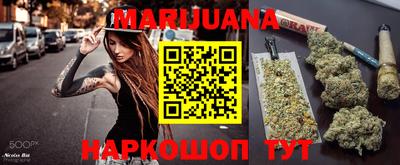 индика Дубна