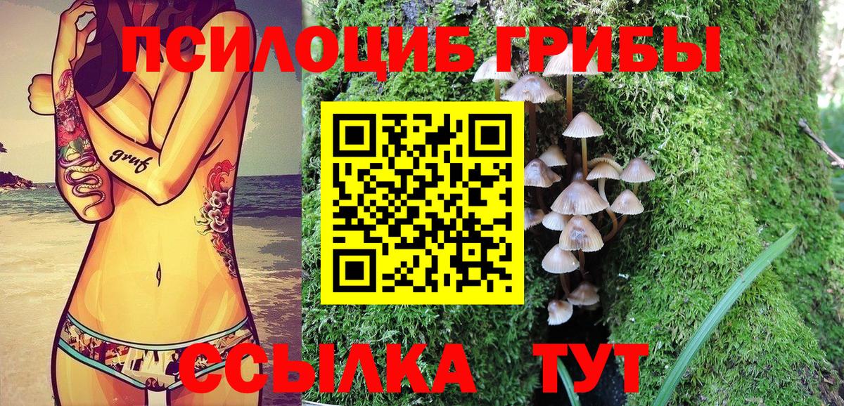 Галлюциногенные грибы мицелий  Вход с VPN  Ярцево 